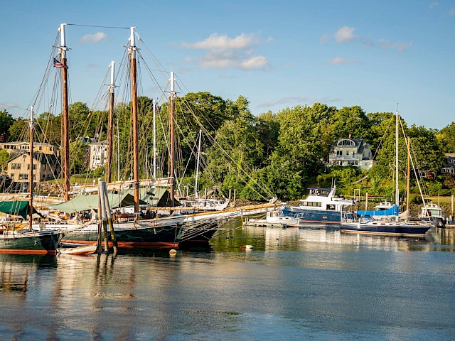 sailboats in camden harbor
